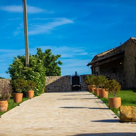 Le Sommet De La Tour, Vue, Calme Et Chevaux Montlaux