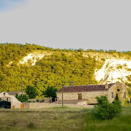 Le Sommet De La Tour, Vue, Calme Et Chevaux *